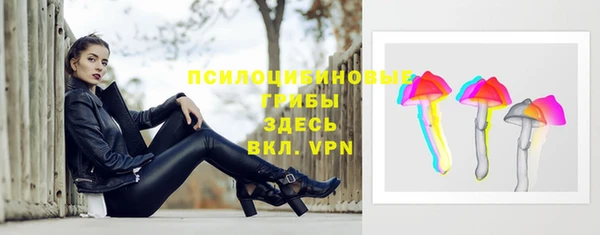 apvp Алексин