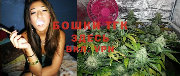 тгк Алзамай
