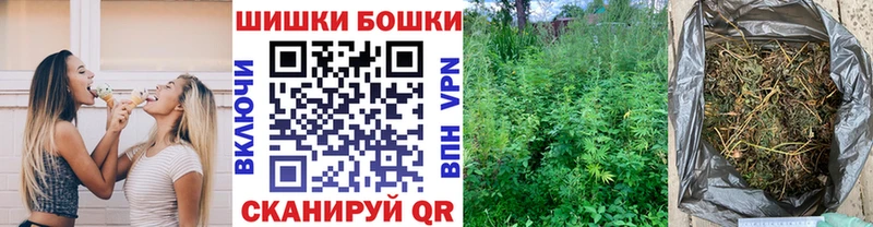 где найти наркотики  Жиздра  Бошки Шишки конопля 